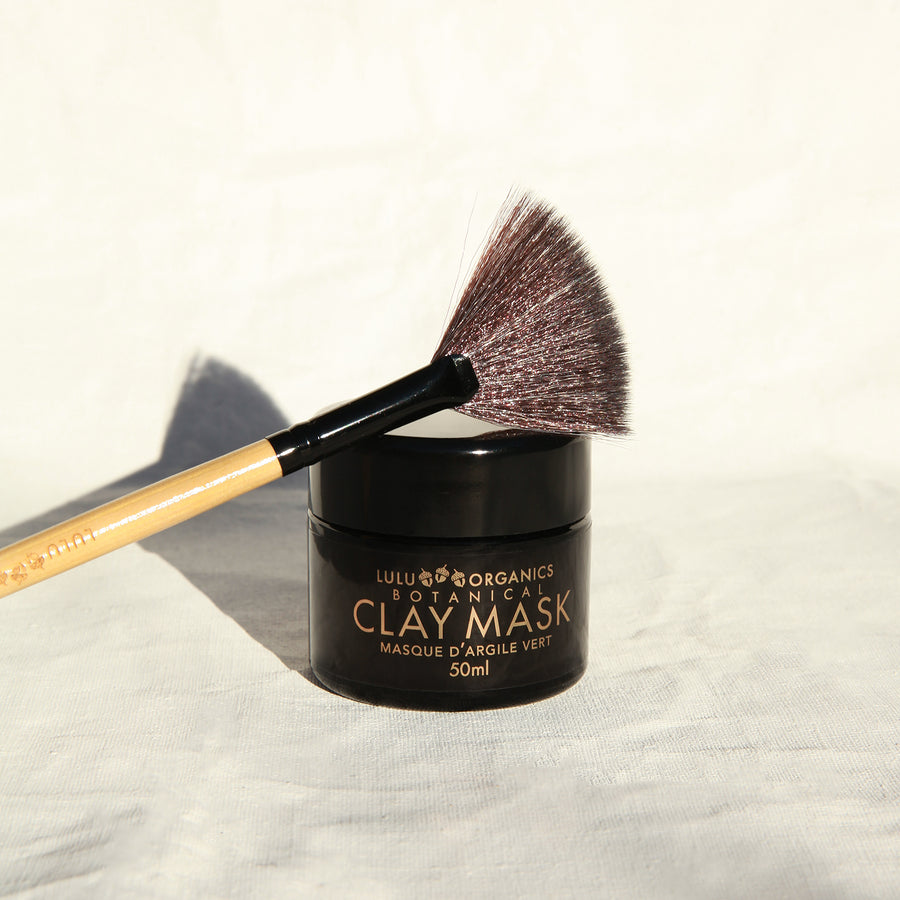 Clay Mask Fan Brush